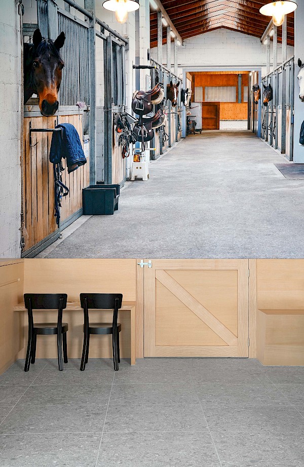 Reitsportgeschäft in neu gestalteten Räumen