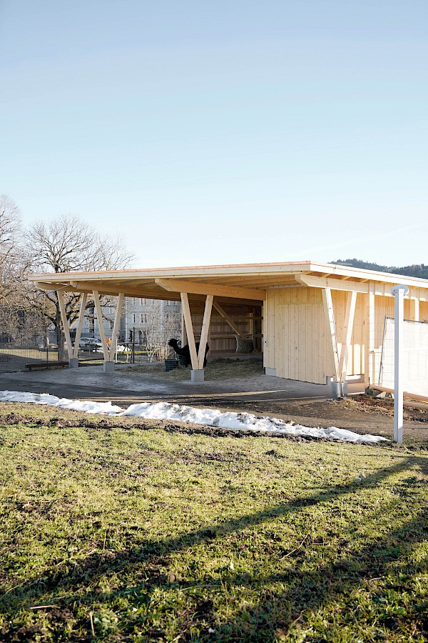 Alpakastall in Teufen – ein Ort der Begegnung