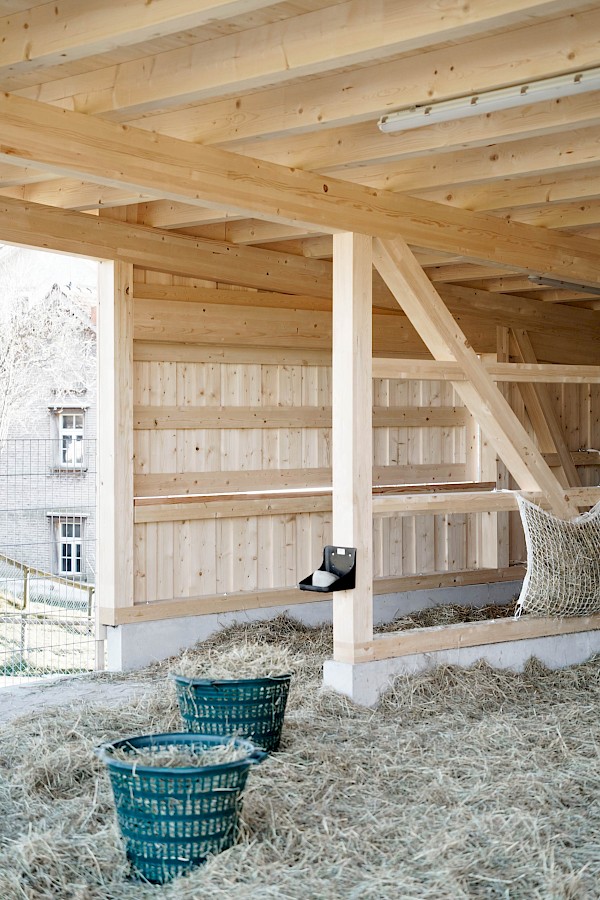 Alpakastall in Teufen – ein Ort der Begegnung